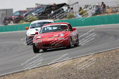 media/May-03-2025-Lucky Dog Racing (Sat) [[206de64b9d]]/Turn 4 B (1150am-130pm)/